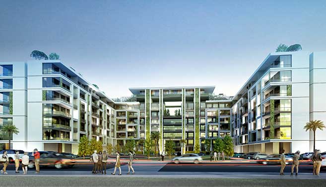 Premio de Innovación